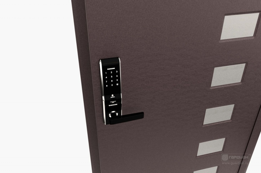 stalnaya_dver_ds_2_biometricheskiy_zamok_samsung.jpg