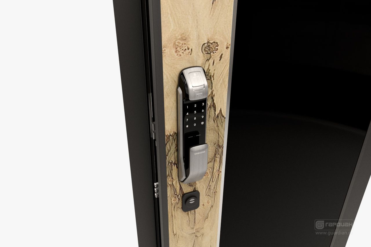 Stalnaya_dver_Smart_90_Biometricheskiy_zamok_Samsung.jpg