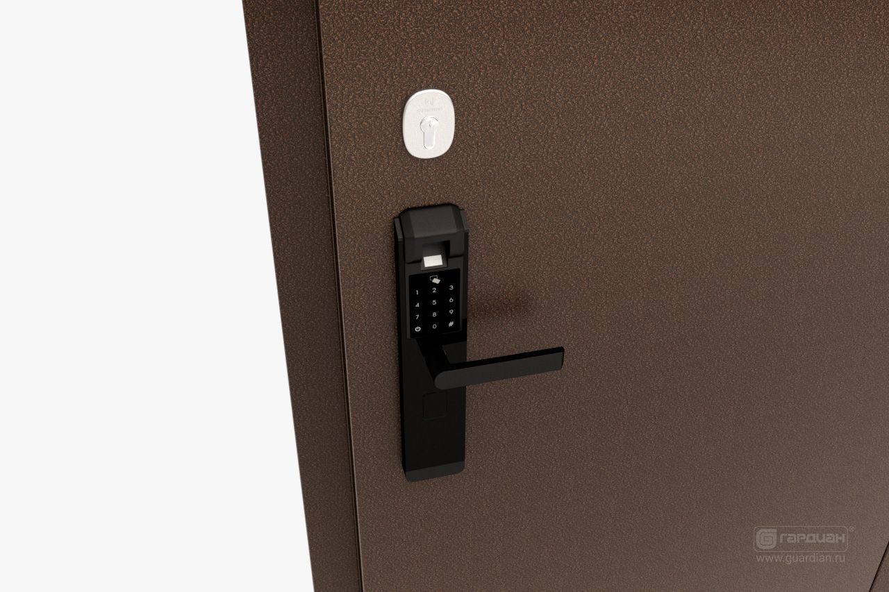 Stalnaya_dver_DF_Biometricheskiy_zamok_Omega_13.jpg
