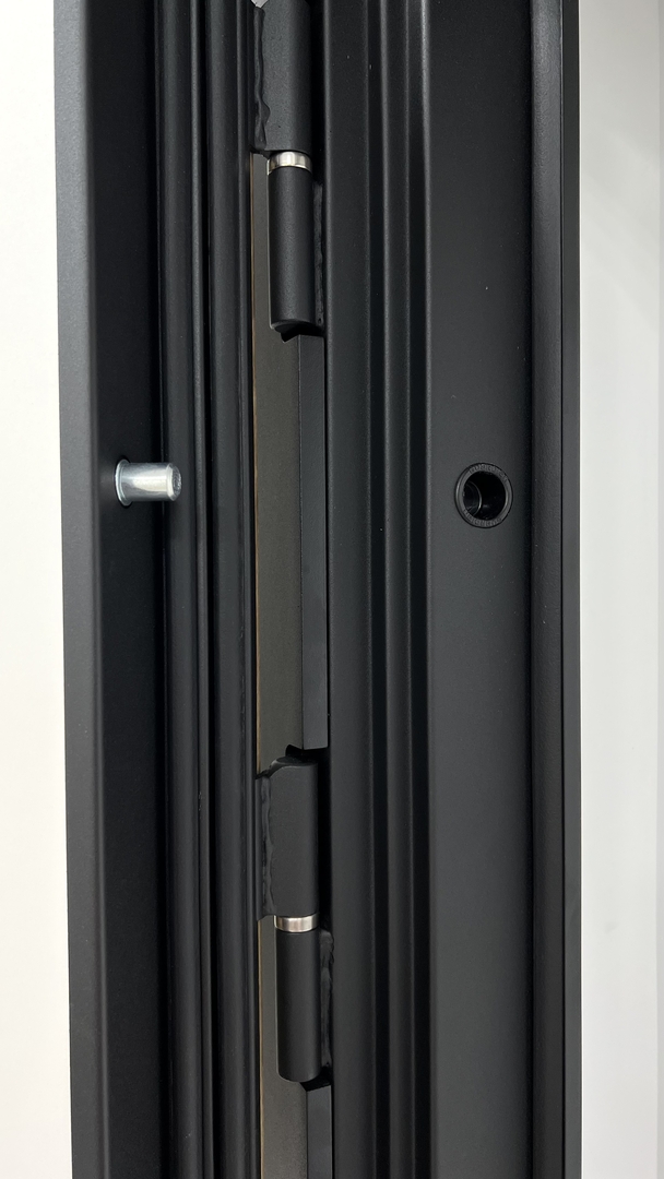 Стальная дверь FLAT 90 12 Комби Л 01 6 ФЛ 510
