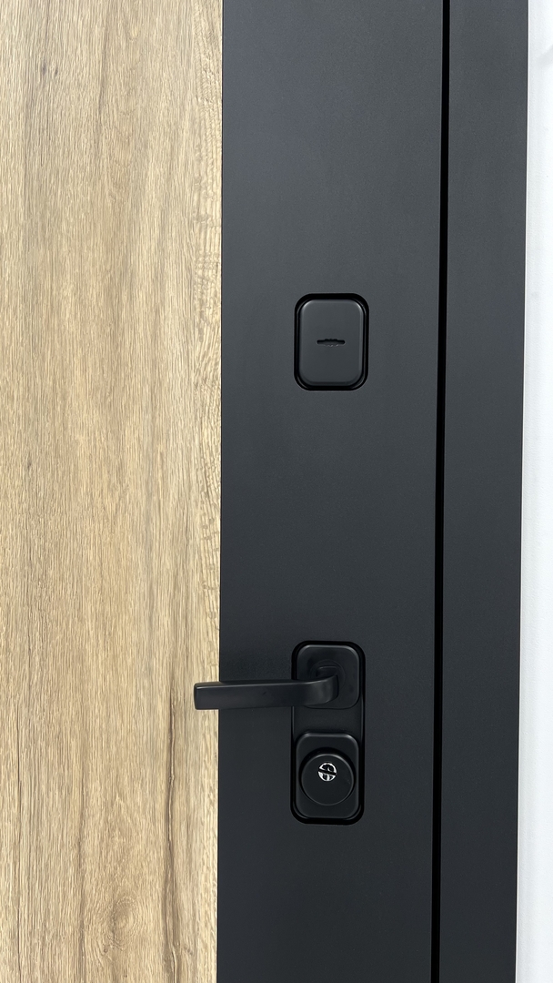 Стальная дверь FLAT 90 12 Комби Л 01 6 ФЛ 510