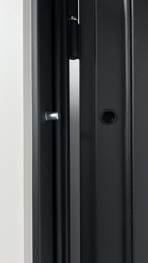 Стальная дверь Flat 80 16 Нарцисс Л 05