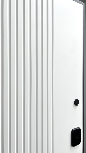 Стальная дверь FLAT 90 12 Техно Л 01/02