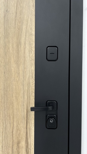 Стальная дверь FLAT 90 12 Комби Л 01 6 ФЛ 510